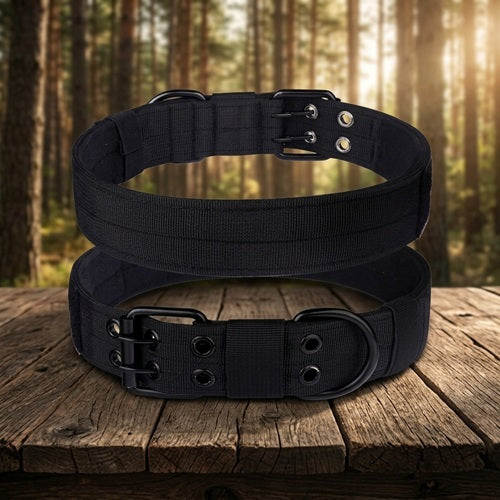 Collier pour gros chien molosse noir boucle métallique en forêt