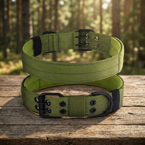 Collier pour gros chien molosse vert boucle métal en forêt