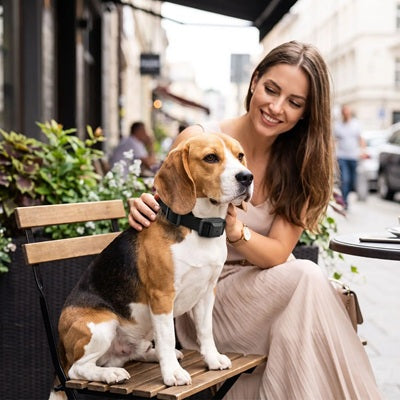 Collier pour petit chien anti-aboiement Beagle femme terrasse café ville