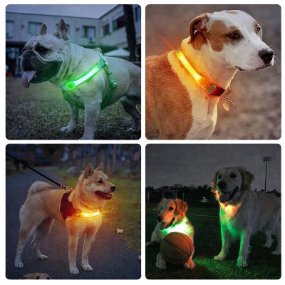 colliers lumineux pour chiens led multicolore harnais securite nuit promenade visible exterieur