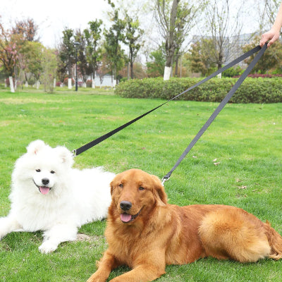 deux chiens allonges sur le gazon attaches avec une laisse pour chien main libre tenue par une personne