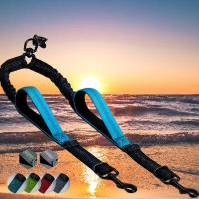 double laisse pour chien bleue mise en valeur sur un fond mer calme au coucher de soleil