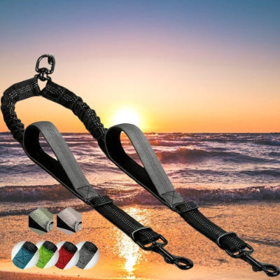 double laisse pour chien grise mise en valeur sur un fond mer calme au coucher de soleil