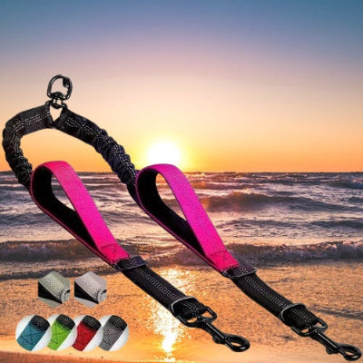 double laisse pour chien rose mise en valeur sur un fond mer calme au coucher de soleil