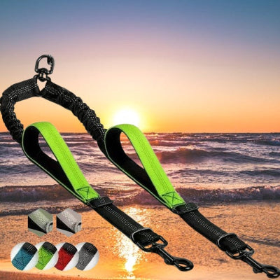 double laisse pour chien verte mise en valeur sur un fond mer calme au coucher de soleil