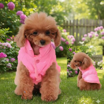 doudoune chiens rose caniche jardin printemps fleurs exterieur legere confort style