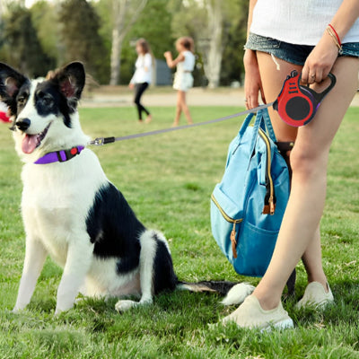 fille en short et chandail blanc debout sur le gazon avec son chien tenu par une laisse pour chien enrouleur