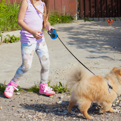 fille tenant son chien avec une laisse pour chien enrouleur profitant d un moment simple et agreable a l exterieur