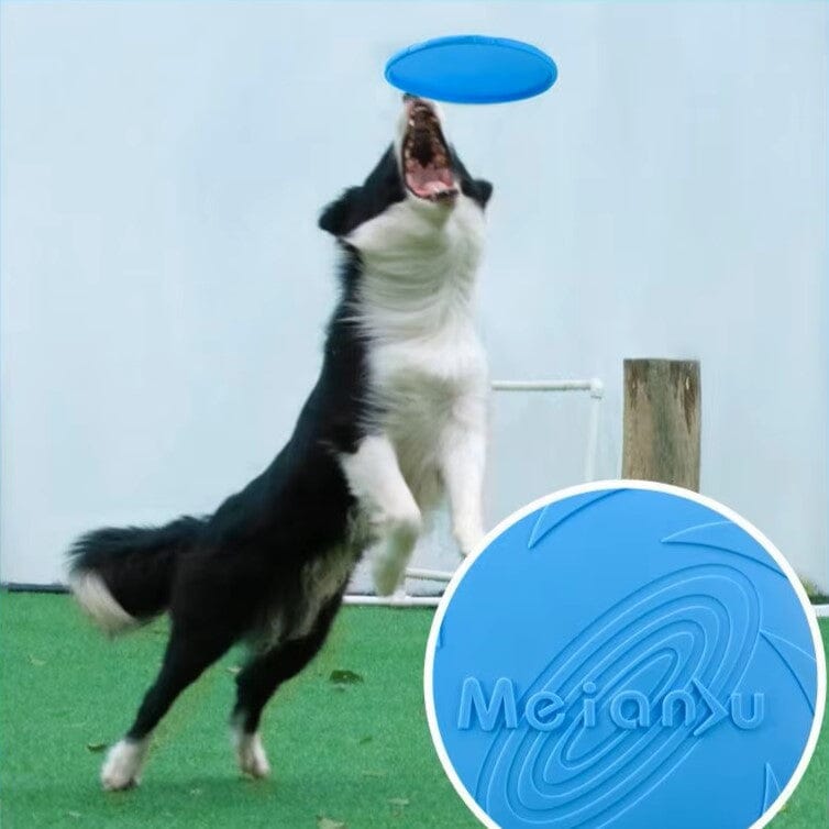 Frisbee pour Chien - FlyDog™ - Bleu - Libre & Poilu