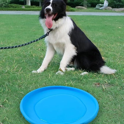 Frisbee pour Chien - FlyDog™ - Bleu - Libre & Poilu
