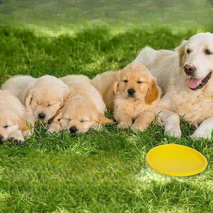 Frisbee pour Chien - FlyDog™ - Jaune - Libre & Poilu