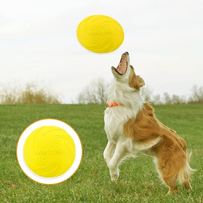 Frisbee pour Chien - FlyDog™ - Jaune - Libre & Poilu