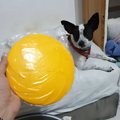 Frisbee pour Chien - FlyDog™ - Jaune - Libre & Poilu