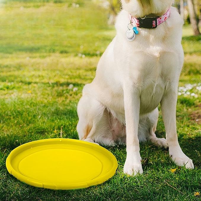 Frisbee pour Chien - FlyDog™ - Jaune - Libre & Poilu