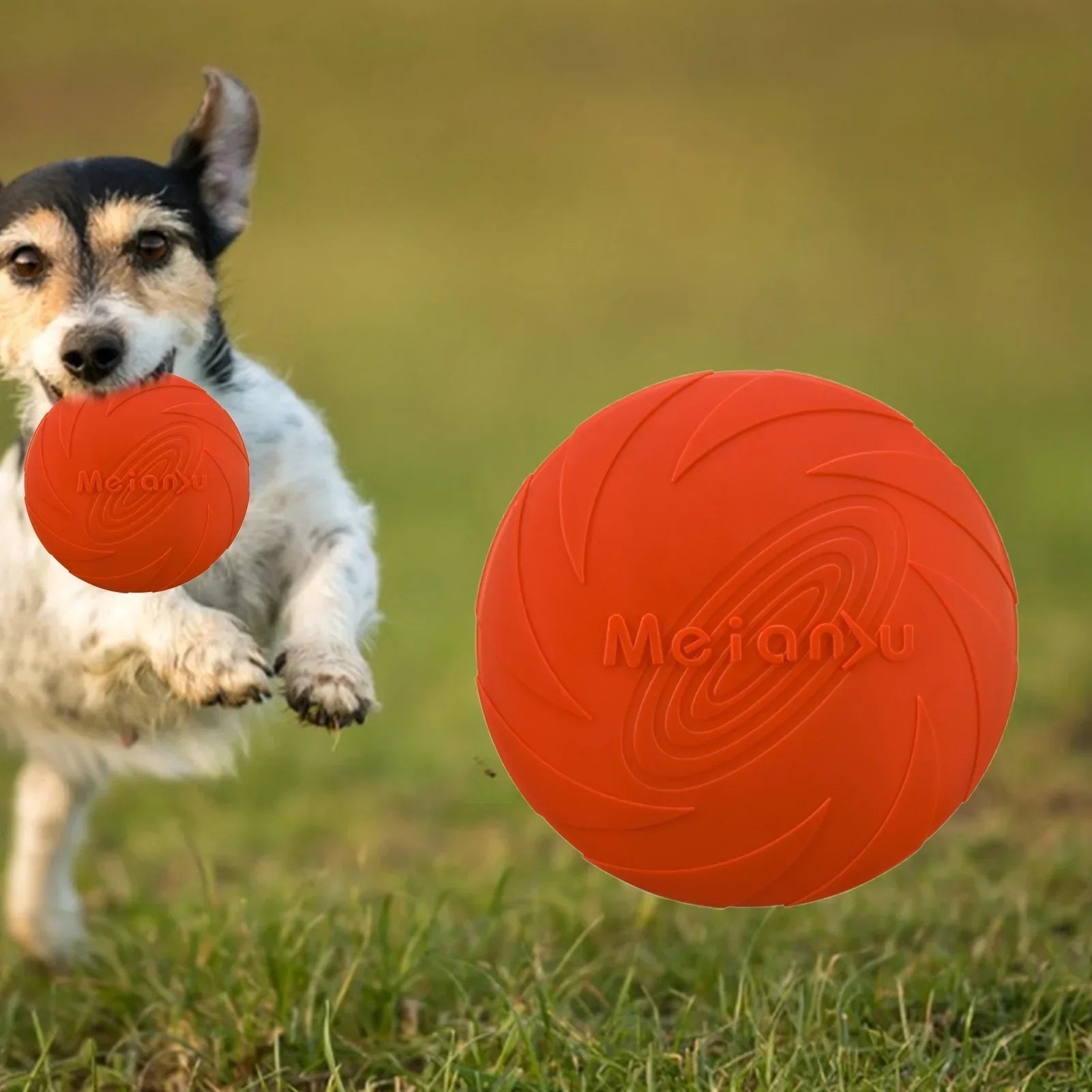 Frisbee pour Chien - FlyDog™ - Rouge - Libre & Poilu