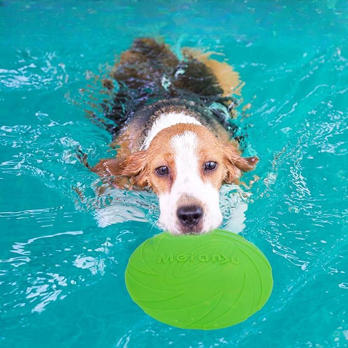 Frisbee pour Chien - FlyDog™ - Vert - Libre & Poilu