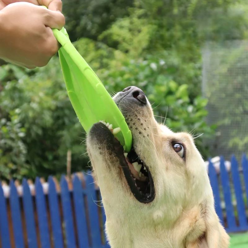 Frisbee pour Chien - FlyDog™ - Vert - Libre & Poilu