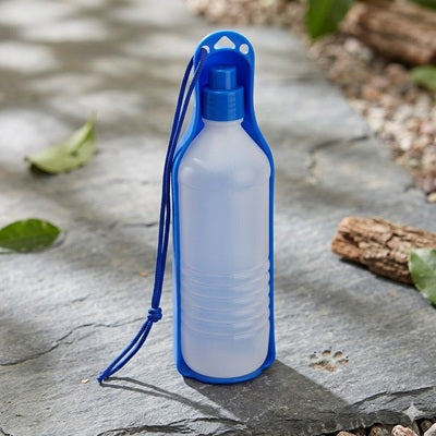 gourde chien portable bleue 250 ml balade pierre