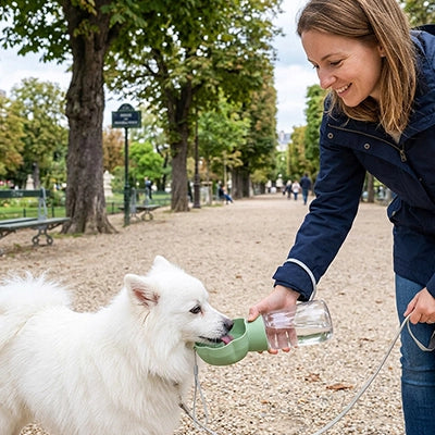 Gourde chien spitz blanc parc Paris femme verte hydratation balade