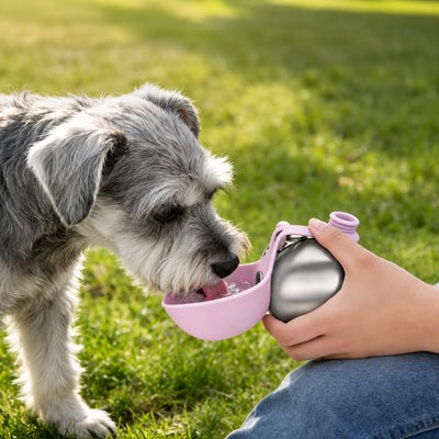 Gourde de Voyage pour Chien Petit Chien Gris Boit Rose Jardin
