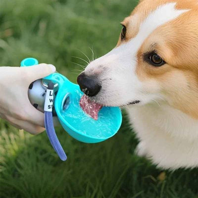 Gourde de Voyage pour Chien Portable Corgi Boit Eau Outdoor