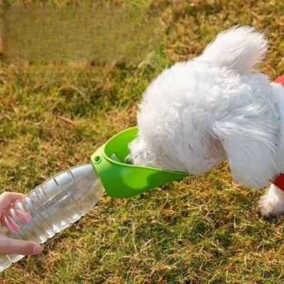 Gourde eau chien bichon blanc coupelle verte herbe soleil