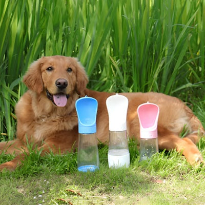 Gourde pour chiens bleu blanc rose Golden Retriever couche herbe verte