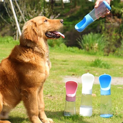 Gourde pour chiens Golden Retriever 3 couleurs portable balade parc