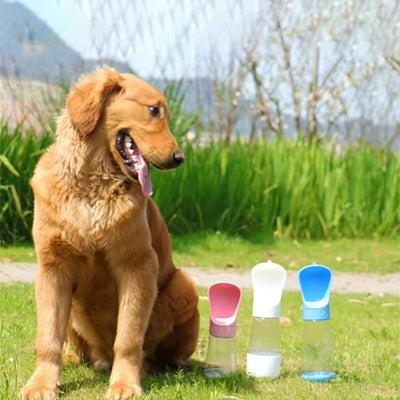 Gourde pour chiens Golden Retriever assis nature 3 couleurs rose bleu blanc