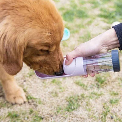 Gourdes chien bouteille eau portable Golden Retriever boit extérieur