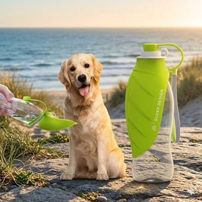 gourdes pour chien golden retriever bouteille verte feuille bord de mer