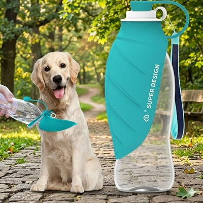 gourdes pour chien golden retriever forêt bouteille turquoise écuelle