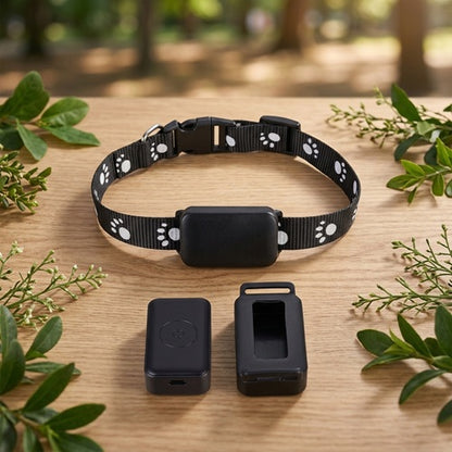 GPS chien sans abonnement collier boîtier traceur accessoires boîtier rechange