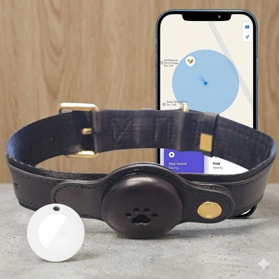 GPS chien sans abonnement collier cuir noir tracker blanc zone sécurité
