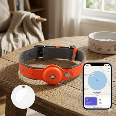 GPS chien sans abonnement collier orange tracker blanc application carte maison