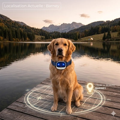 GPS pour chien sans abonnement tracking Barney crépuscule lac