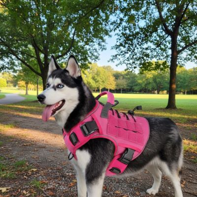 harnais anti traction chien securite confort rose tactique husky promenade parc