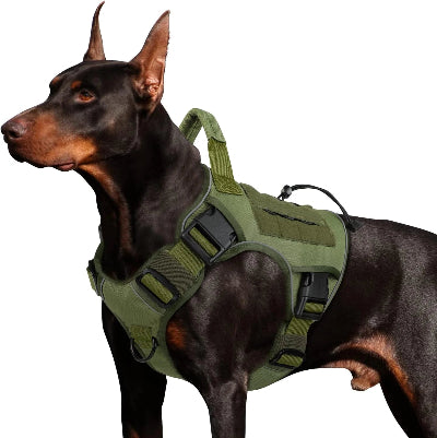 harnais anti traction chien securite confort tactique vert militaire doberman