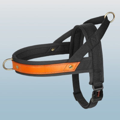 harnais chien anti traction noir orange cuir premium resistant