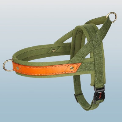 harnais chien anti traction vert orange cuir reglable resistant