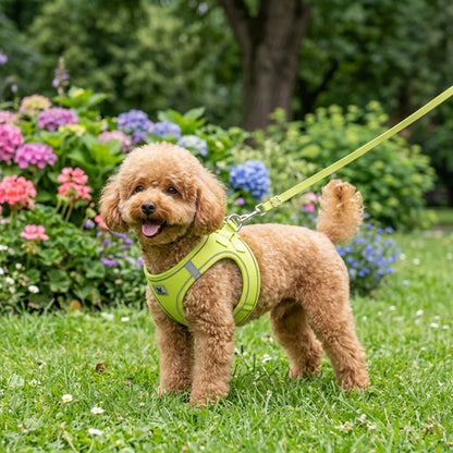 Harnais chien confort vert fluo petit chien jardin fleuri