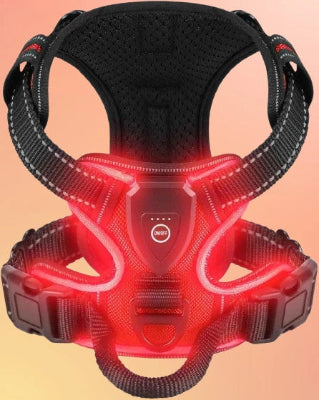 harnais chien led rouge visible nuit rembourre ajustable premium