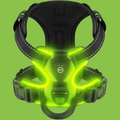 harnais-chien-led-vert-visible-nuit-ajustable-respirant-securite