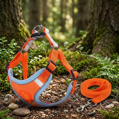 Harnais chien orange laisse set forêt bandes réfléchissantes