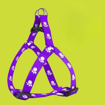 harnais chien violet motif pattes laisse assortie ensemble complet