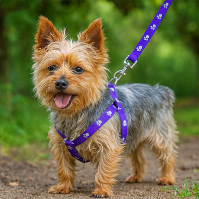 harnais chien violet yorkshire terrier ajustable confortable balade