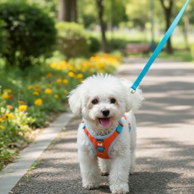 harnais chiot confortable laisse bleu parc fleuri