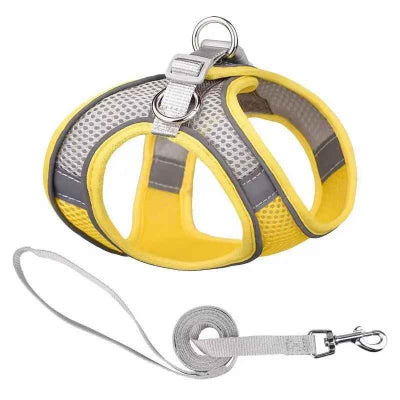 harnais chiot jaune gris mesh respirant laisse incluse reflectif