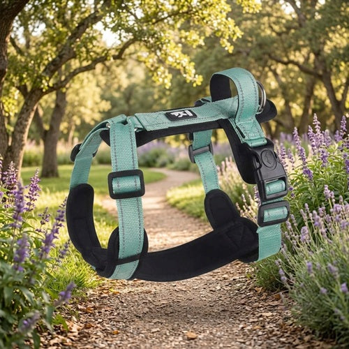 Harnais confort chien vert menthe rembourrage noir vue profil jardin
