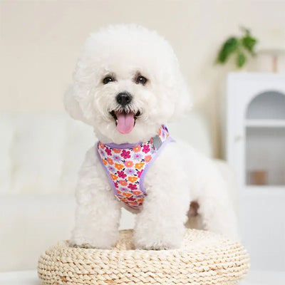 harnais petit chien fleurs rose bichon confortable ajustable